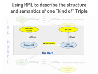 Using RML to describe the structure
and semantics of one “kind of” Triple
Map1
Predicate
Object Map
Subject
Map
Object
Map
ex:Patient
Record
subjectMap template
“http://example.org/patient/{id}”
predicate ex:has
Variant
Map2
Subject
Map2
SO:0000694
(“SNP”)
template
“http://identifiers.org/dbsnp/{snp}”
T
H
E
M
O
D
E
L
 