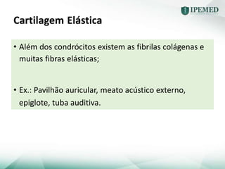 Cartilagem Elástica
• Além dos condrócitos existem as fibrilas colágenas e
muitas fibras elásticas;
• Ex.: Pavilhão auricular, meato acústico externo,
epiglote, tuba auditiva.
 