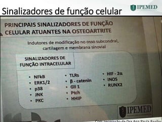 Sinalizadores de função celular
 