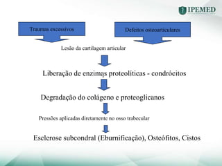 Traumas excessivos Defeitos osteoarticulares
Lesão da cartilagem articular
Liberação de enzimas proteolíticas - condrócitos
Degradação do colágeno e proteoglicanos
Pressões aplicadas diretamente no osso trabecular
Esclerose subcondral (Eburnificação), Osteófitos, Cistos
Traumas excessivos Defeitos osteoarticulares
 