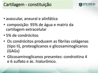 Cartilagem - constituição
• avascular, aneural e alinfática
• composição: 95% de água e matriz da
cartilagem extracelular
• 5% de condrócitos
• Os condrócitos produzem as fibrilas colágenas
(tipo II), proteoglicanos e glicosaminoglicanos
(GAGs)
• Glicosaminoglicanos presentes: condroitina 4
e 6 sulfato e ác. hialurônico.
 