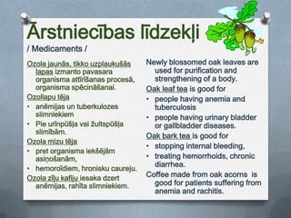 Oak leaves were also used in wreaths, which men -called Jānis –wore.VideoLīgo svētki MidsummerNightFestival