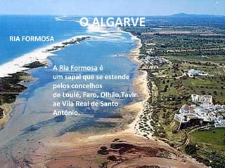 O ALGARVE
RIA FORMOSA


        • A Ria Formosa é
          um sapal que se estende
          pelos concelhos
          de Loulé, Faro, Olhão,Tavir
          ae Vila Real de Santo
          António.
 