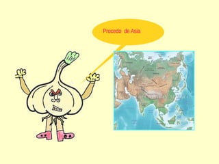 Procedo de Asia