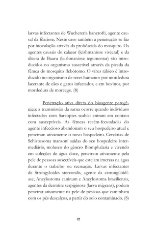22
larvas infectantes de Wuchereria bancrofti, agente cau-
sal da filariose. Neste caso também a penetração se faz
por inoculação através da probóscida do mosquito. Os
agentes causais do calazar (leishmaniose visceral) e da
úlcera de Bauru (leishmaniose tegumentar) são intro-
duzidos no organismo suscetível através da picada da
fêmea do mosquito flebótomo. O vírus rábico é intro-
duzido no organismo de seres humanos por mordedura
lacerante de cães e gatos infectados, e em bovinos, por
mordedura de morcego. (8)
Penetração ativa direta do bioagente patogê-
nico: a transmissão da sarna ocorre quando indivíduos
infectados com Sarcoptes scabiei entram em contato
com susceptíveis. As fêmeas recém-fecundadas do
agente infeccioso abandonam o seu hospedeiro atual e
penetram ativamente o novo hospedeiro. Cercárias de
Schistosoma mansoni saídas do seu hospedeiro inter-
mediário, molusco do gênero Biomphalaria e vivendo
em coleções de água doce, penetram ativamente pela
pele de pessoas suscetíveis que estejam imersas na água
durante o trabalho ou recreação. Larvas infectantes
de Strongyloides stercoralis, agente da estrongiloidí-
ase, Ancylostoma caninum e Ancylostoma braziliensis,
agentes da dermtite serpiginosa (larva migrans), podem
penetrar ativamente na pele de pessoas que caminham
com os pés descalços, a partir do solo contaminado. (8)
 