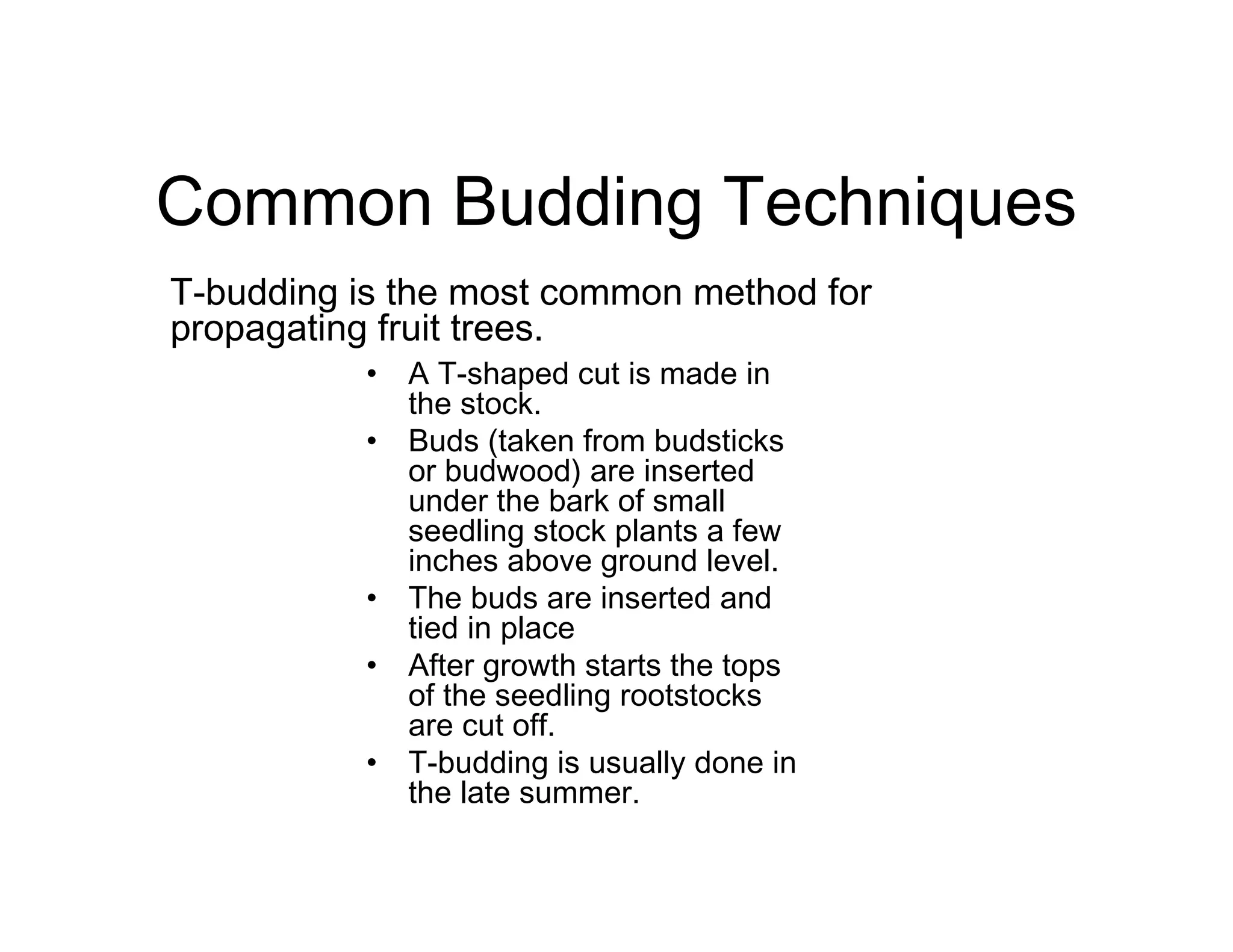 Common Budding Techniques
• A T-shaped cut is made in
the stock.
• Buds (taken from budsticks
or budwood) are inserted
under the bark of small
seedling stock plants a few
inches above ground level.
• The buds are inserted and
tied in place
• After growth starts the tops
of the seedling rootstocks
are cut off.
• T-budding is usually done in
the late summer.
T-budding is the most common method for
propagating fruit trees.
 