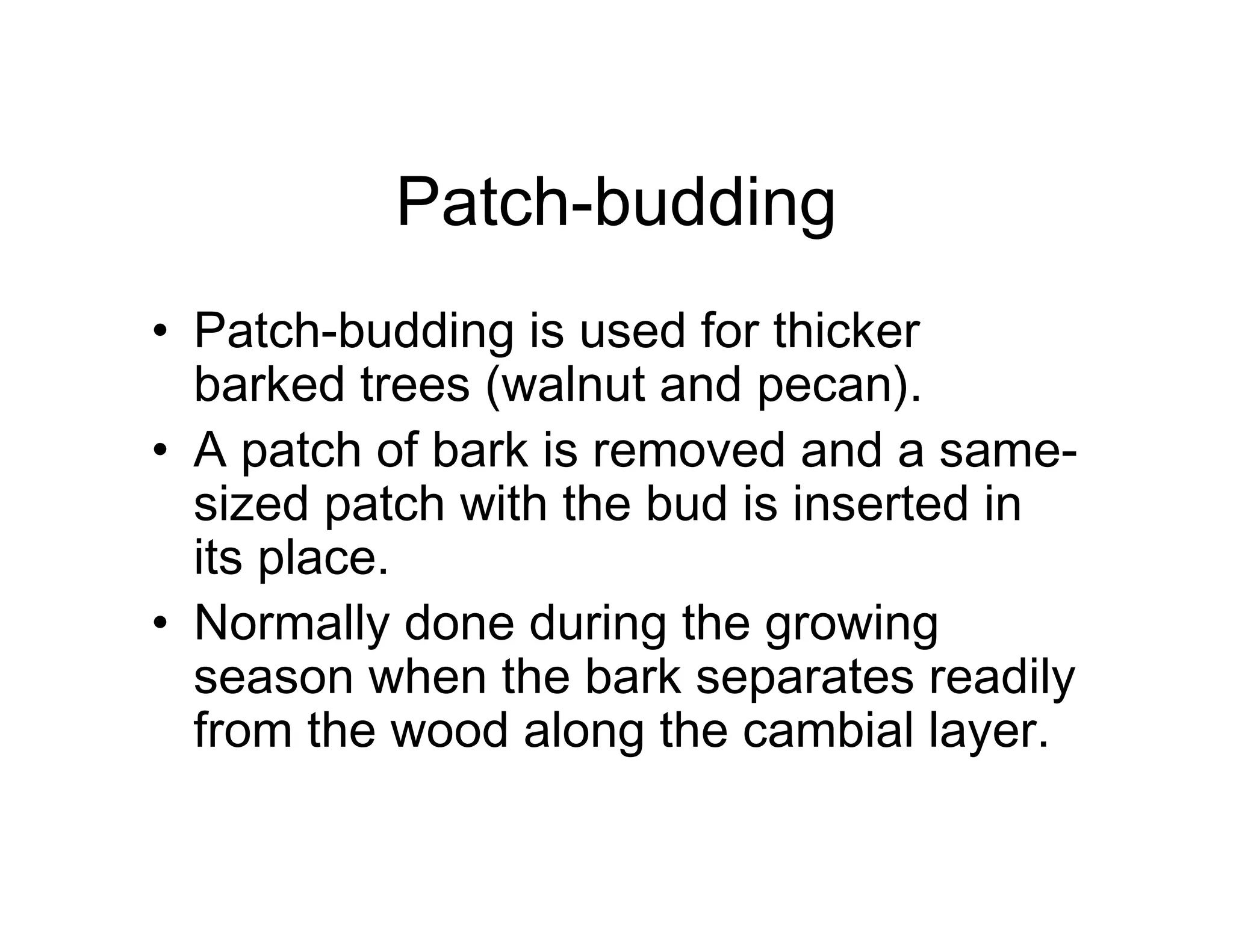 Patch-budding
• Patch-budding is used for thicker
barked trees (walnut and pecan).
• A patch of bark is removed and a same-
sized patch with the bud is inserted in
its place.
• Normally done during the growing
season when the bark separates readily
from the wood along the cambial layer.
 