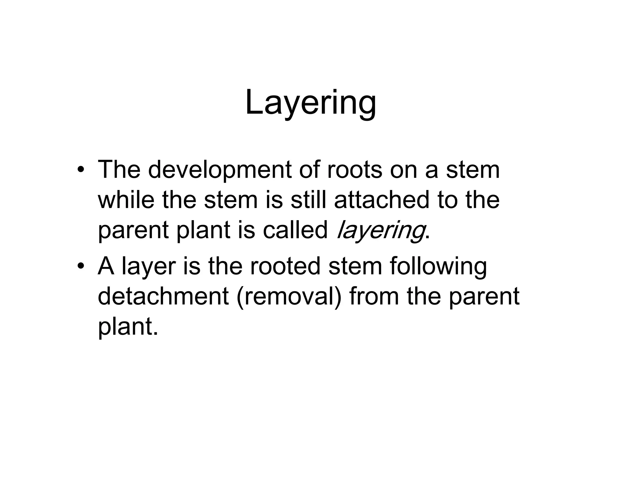 Layering
• The development of roots on a stem
while the stem is still attached to the
parent plant is called layering.
• A layer is the rooted stem following
detachment (removal) from the parent
plant.
 