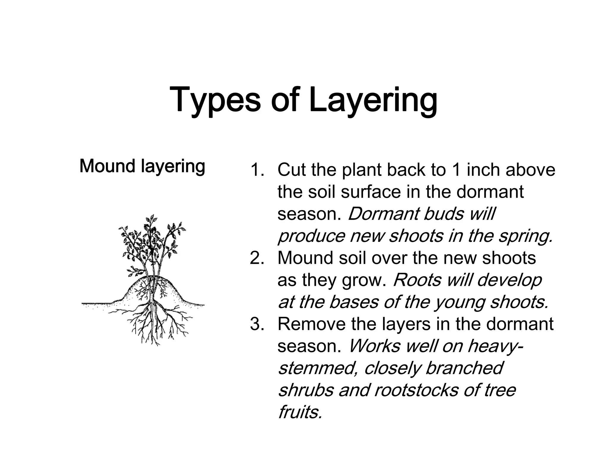 Types of Layering
Mound layering 1. Cut the plant back to 1 inch above
the soil surface in the dormant
season. Dormant buds will
produce new shoots in the spring.
2. Mound soil over the new shoots
as they grow. Roots will develop
at the bases of the young shoots.
3. Remove the layers in the dormant
season. Works well on heavy-
stemmed, closely branched
shrubs and rootstocks of tree
fruits.
 