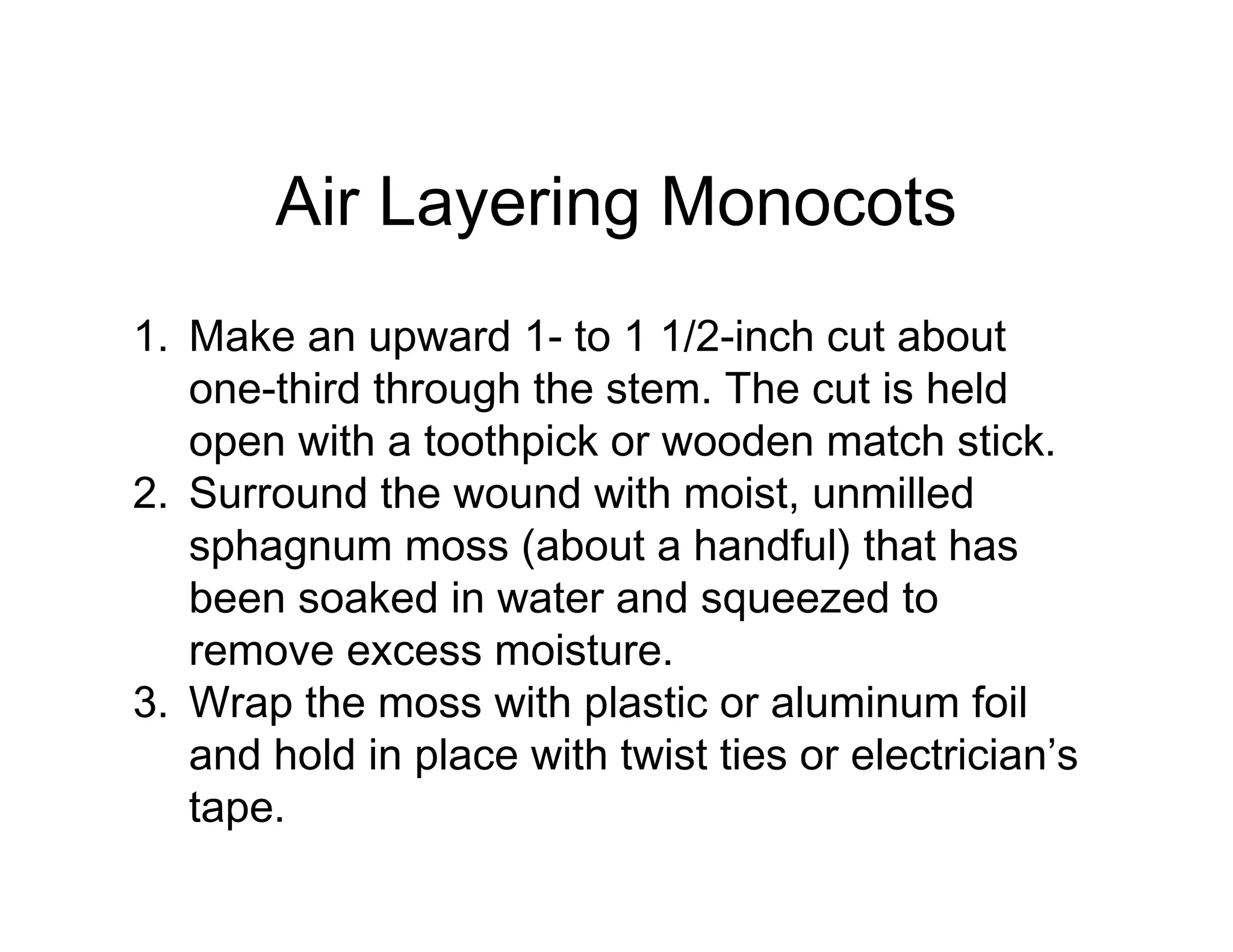 Air Layering Monocots
1. Make an upward 1- to 1 1/2-inch cut about
one-third through the stem. The cut is held
open with a toothpick or wooden match stick.
2. Surround the wound with moist, unmilled
sphagnum moss (about a handful) that has
been soaked in water and squeezed to
remove excess moisture.
3. Wrap the moss with plastic or aluminum foil
and hold in place with twist ties or electrician’s
tape.
 