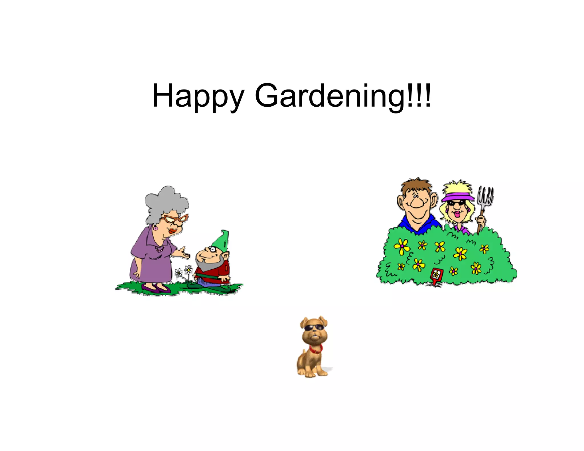 Happy Gardening!!!
 