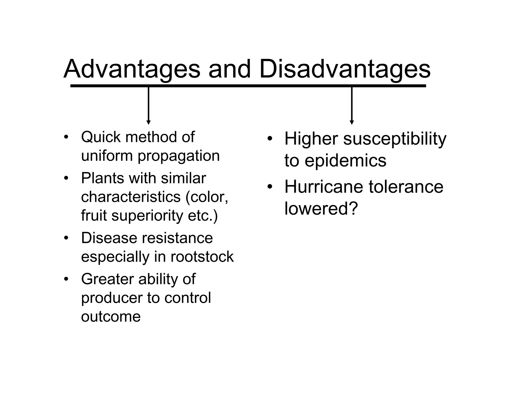 Advantages and Disadvantages
• Quick method of
uniform propagation
• Plants with similar
characteristics (color,
fruit superiority etc.)
• Disease resistance
especially in rootstock
• Greater ability of
producer to control
outcome
• Higher susceptibility
to epidemics
• Hurricane tolerance
lowered?
 