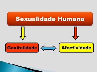 Genitalidade Afectividade Sexualidade Humana 