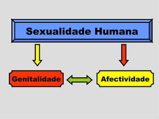 Sexualidade Humana Genitalidade Afectividade 