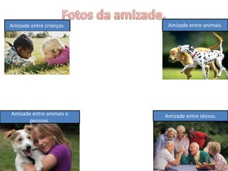 Amizade entre crianças.    Amizade entre animais.




Amizade entre animais e   Amizade entre idosos.
       pessoas.
 