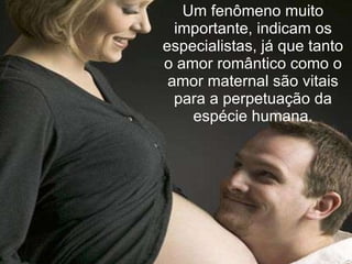 Um fenômeno muito importante, indicam os especialistas, já que tanto o amor romântico como o amor maternal são vitais para a perpetuação da espécie humana. 