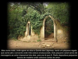 Mas numa mata, onde agora se situa a Quinta das Lágrimas, havia um pequeno regato que corria até o convento onde Inês estava enclausurada. Este pequeno canal serviu de mensageiro ao amor impossível dos dois, pois era lá que D. Pedro depositava pequenos barcos de madeira onde colocava cartas de amor.   