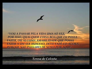 “ VOU A PASSAR PELA VIDA UMA SÓ VEZ, POR ISSO, QUALQUER COISA BOA QUE EU POSSA FAZER, OU ALGUMA AMABILIDADE QUE POSSA FAZER A UM SER HUMANO, DEVO FAZÊ-LO AGORA, PORQUE NãO PASSAREI DE NOVO   POR AQUI”. Teresa de Calcuta 