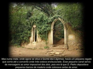 Mas numa mata, onde agora se situa a Quinta das Lágrimas, havia um pequeno regato
que corria até o convento onde Inês estava enclausurada. Esse pequeno canal serviu
de mensageiro ao amor impossível dos dois, pois era lá que D. Pedro depositava
pequenos barcos de madeira onde colocava cartas de amor.

 