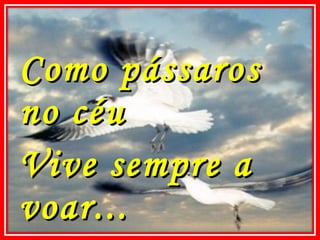 Como pássaros no céu Vive sempre a voar... 