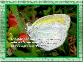 O amor por sua cor toda branca,
não pode ser manchado, nem
usado para outros fins...
 