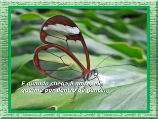 E quando chega à noite, ele
queima por dentro da gente...
 
