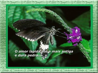 O amor lapida até a mais antiga
e dura pedra...
 