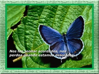 Nos faz sonhar acordados, nos
perdoa quando estamos desolados...
 