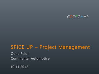 SPICE UP – Project Management
Oana Feidi
Continental Automotive

10.11.2012
 