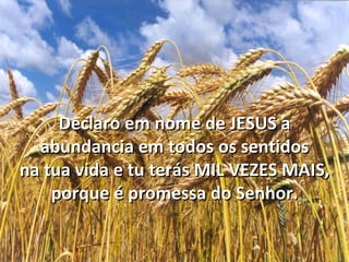 Declaro em nome de JESUS a
  abundancia em todos os sentidos
na tua vida e tu terás MIL VEZES MAIS,
    porque é promessa do Senhor.
 