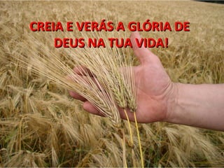 CREIA E VERÁS A GLÓRIA DE
    DEUS NA TUA VIDA!
 