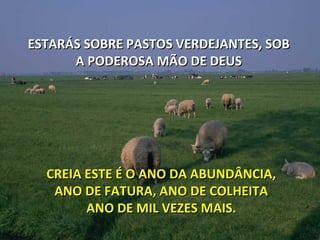 ESTARÁS SOBRE PASTOS VERDEJANTES, SOB
      A PODEROSA MÃO DE DEUS




  CREIA ESTE É O ANO DA ABUNDÂNCIA,
   ANO DE FATURA, ANO DE COLHEITA
        ANO DE MIL VEZES MAIS.
 