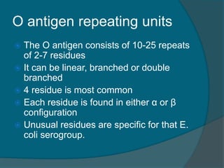 O antigen repeating units
 The O antigen consists of 10-25 repeats
of 2-7 residues
 It can be linear, branched or double
branched
 4 residue is most common
 Each residue is found in either α or β
configuration
 Unusual residues are specific for that E.
coli serogroup.
 