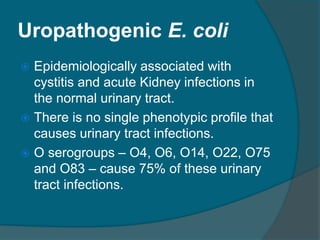 Uropathogenic E. coli
 Epidemiologically associated with
cystitis and acute Kidney infections in
the normal urinary tract.
 There is no single phenotypic profile that
causes urinary tract infections.
 O serogroups – O4, O6, O14, O22, O75
and O83 – cause 75% of these urinary
tract infections.
 