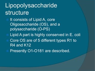 Lipopolysaccharide
structure
 It consists of Lipid A, core
Oligosaccharide (OS), and a
polysaccharide (O-PS)
 Lipid A part is highly conserved in E. coli
 Core OS are of 5 different types R1 to
R4 and K12
 Presently O1-O181 are described.
 