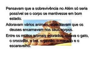 Pensavam que a sobrevivência no Além só seria
  possível se o corpo se mantivesse em bom
  estado.
Adoravam vários animais, acreditavam que os
  deuses encarnavam nos seus corpos.
Entre os muitos animais adorados, estava o gato,
  o crocodilo, o boi, o gavião, o macaco e o
  escaravelho.
 