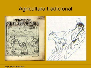 Agricultura tradicional Prof. Sílvia Mendonça 