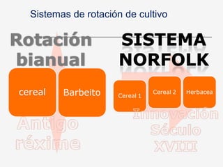 Sistemas de rotación de cultivo
 