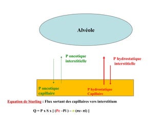 Alvéole
P hydrostatique
interstitielle
P hydrostatique
Capillaire
P oncotique
capillaire
P oncotique
interstitielle
Equation de Starling : Flux sortant des capillaires vers interstitium
Q = P x S x [ (Pc –Pi ) – σ (πc- πi) ]
 