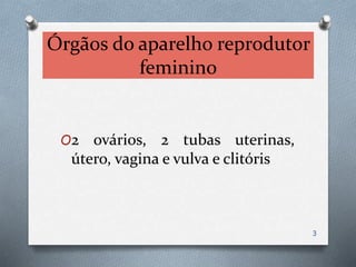 Órgãos do aparelho reprodutor
feminino
O2 ovários, 2 tubas uterinas,
útero, vagina e vulva e clitóris
3
 