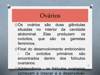 Ovários
OOs ovários são duas glândulas
situadas no interior da cavidade
abdominal. Elas produzem os
ovócitos, que são os gametas
femininos.
OFinal do desenvolvimento embrionário
- Os ovócitos primários são
encontrados dentro dos folículos
ovarianos.
OAdolescência - os folículos ovarianos
começam a crescer e a desenvolver-
5
 
