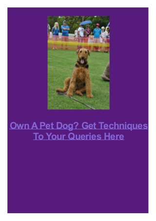 Own A Pet Dog? Get Techniques
To Your Queries Here

 