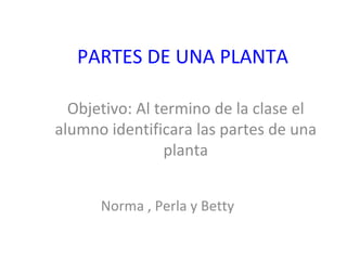 PARTES DE UNA PLANTA Norma , Perla y Betty Objetivo: Al termino de la clase el alumno identificara las partes de una planta 