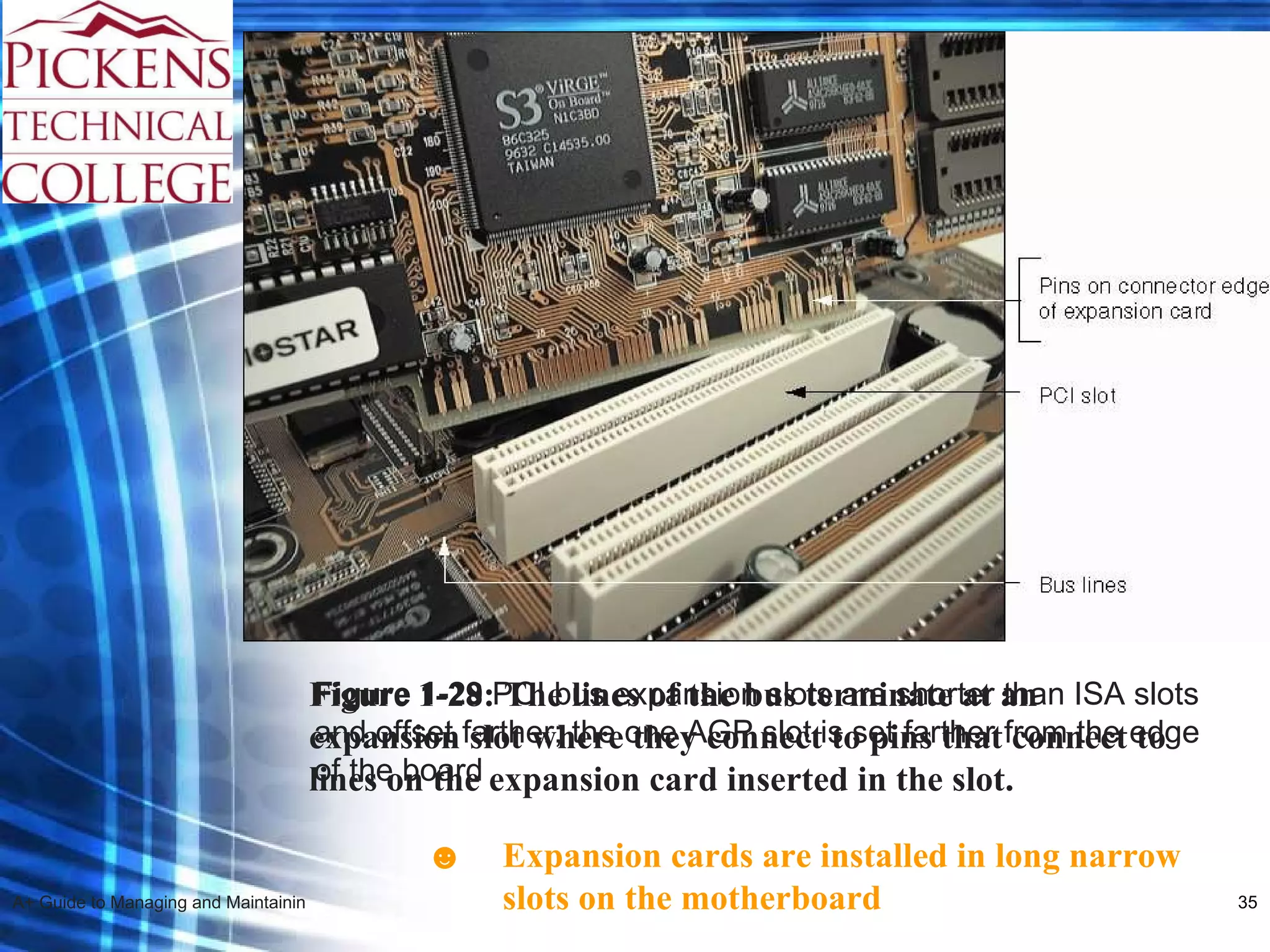 Figure 1-29  PCI bus expansion slots are shorter than ISA slots and offset farther; the one AGP slot is set farther from the edge of the board Expansion cards are installed in long narrow slots on the motherboard ☻ Figure 1-28: The lines of the bus terminate at an expansion slot where they connect to pins that connect to lines on the expansion card inserted in the slot. 