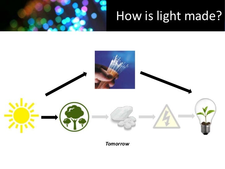 fiber optic solar lighting systems