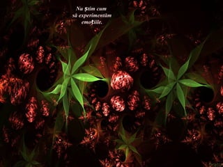 Nu știm cum
să experimentăm
    emoțiile.
 