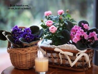 Și vă întreb acum,
ce-am făcut cu inima?
 