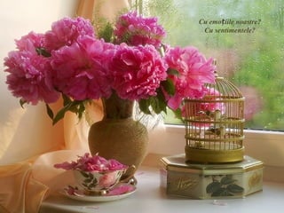 Cu emoțiile noastre?
 Cu sentimentele?
 