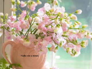 Viața este a inimii.
 