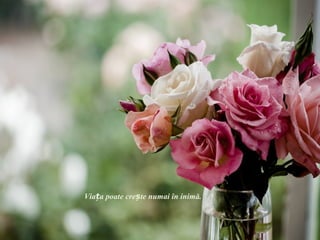 Viața poate crește numai în inimă.
 